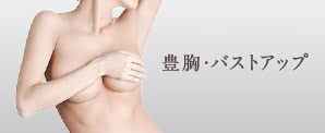 豊胸・胸の整形