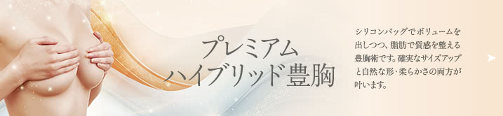 プレミアムハイブリッド豊胸