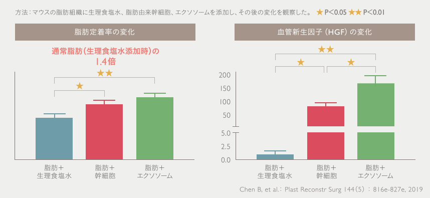 脂肪定着率の変化／血管新生因子（HGF）の変化