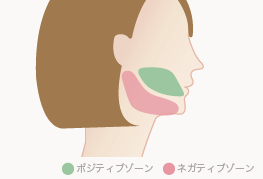顔の脂肪吸引の、ポジティブゾーンとネガティブゾーン