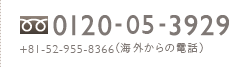 0120-05-3929